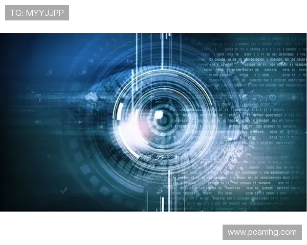 新二会员网址安全稳定可靠确保用户体验优质提升