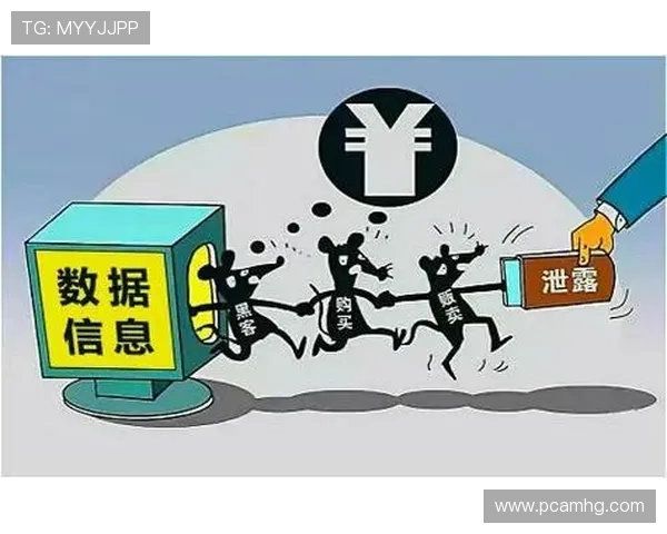 新2备用网提供多重保护机制有效抵御黑客攻击与数据泄露风险